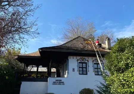Recondiționare mobilier de colecție și monumente istorice